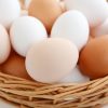 卵は薄毛対策の完全食？